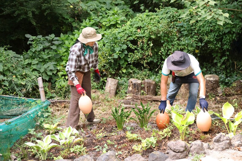 灌漑ポットを植栽の間にレイアウト。