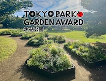 都立公園を新たな花の魅力で彩る「第3回 東京パークガーデンアワード」都立砧公園【秋深まる10月の庭】