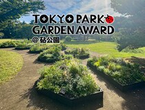 都立公園を新たな花の魅力で彩る「第3回 東京パークガーデンアワード」都立砧公園【秋深まる10月の庭】