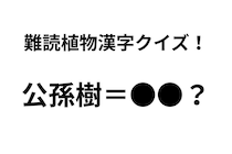「公孫樹」ってなんて読む？ 正解できたらすごい難読植物名漢字クイズ【Let’s Try! 植物クイズ】Vol.19