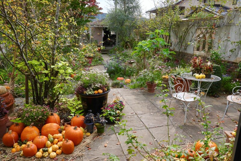 ハロウィンの庭