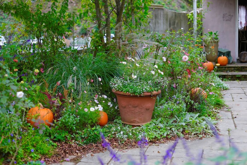 ハロウィンの庭