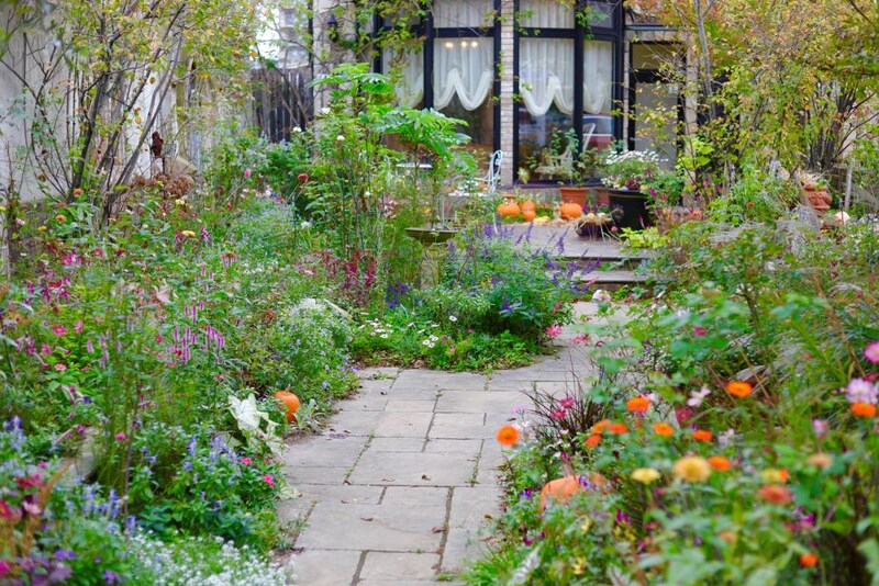 ハロウィンの庭