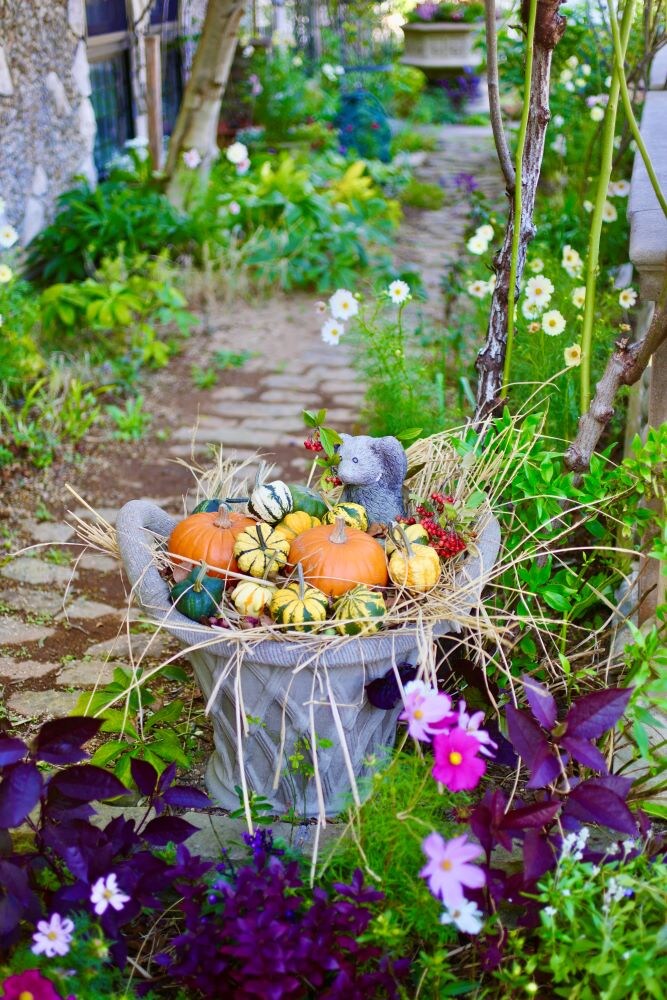 ハロウィンの庭