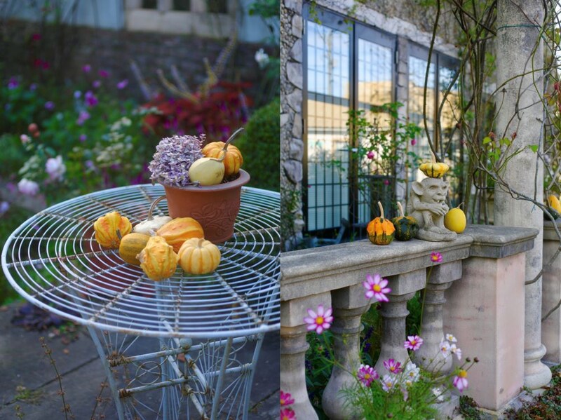 ハロウィンの庭