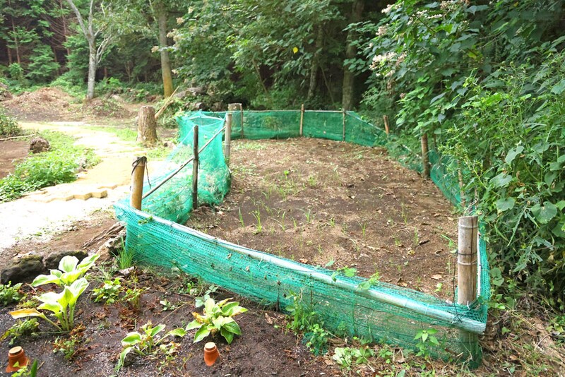 ネットで囲んだ畑コーナーをリニューアル。