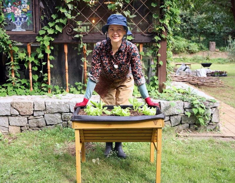 ホームベジトラグウォールハガーコンパクトナチュナル（VegTrug）