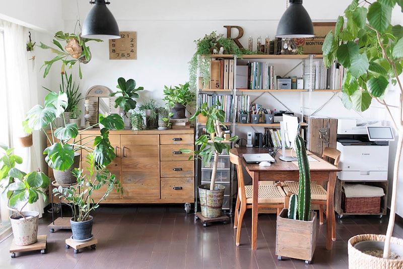 インテリアグリーン