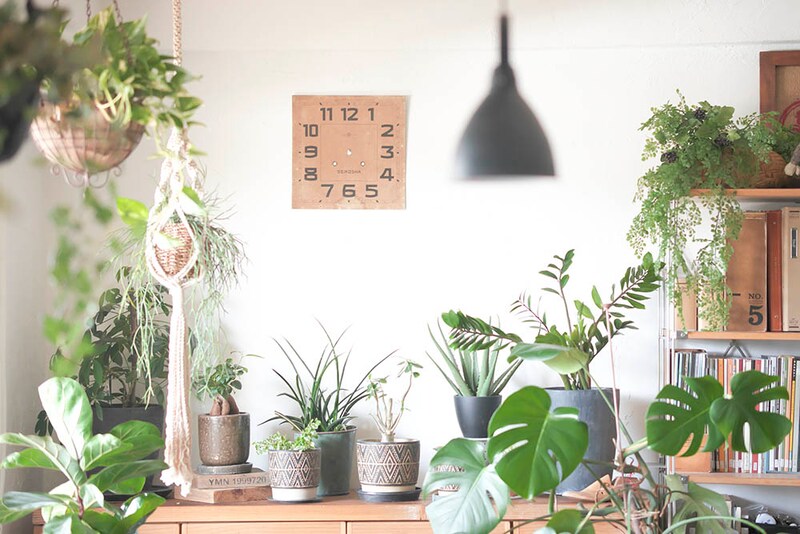 グリーンコーディネート