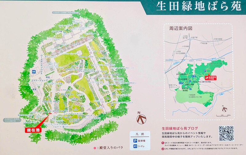 生田緑地ばら苑