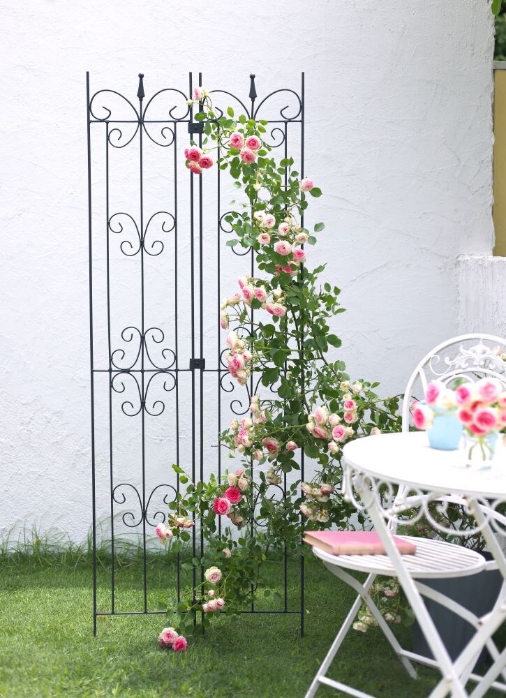 ガーデントレリス