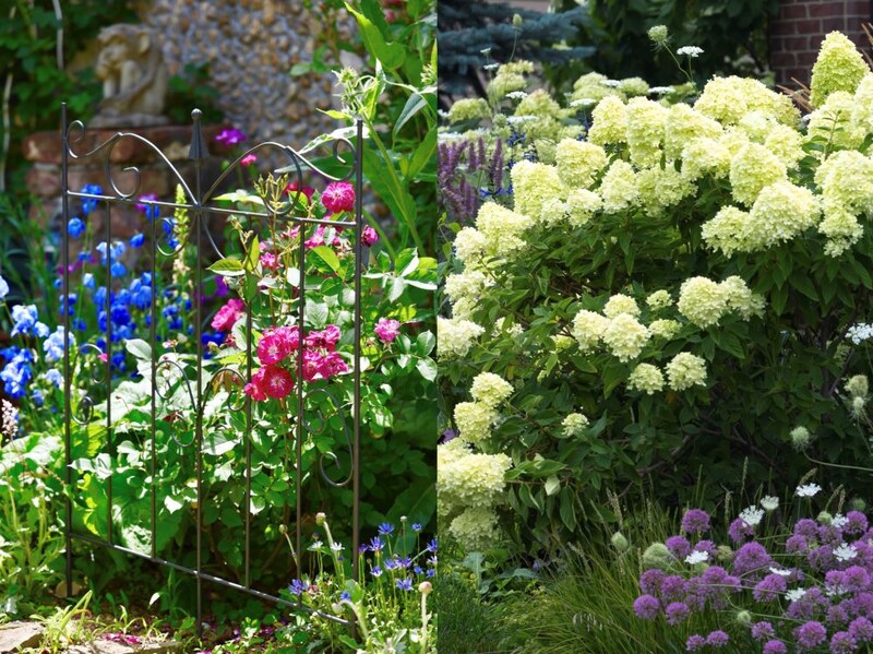 低木・シュラブ