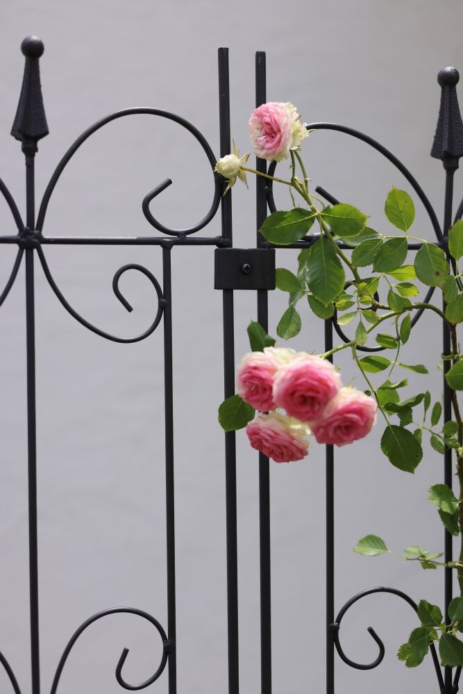 連結させて使う