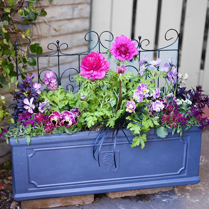 トレリス・フェンスの使い方