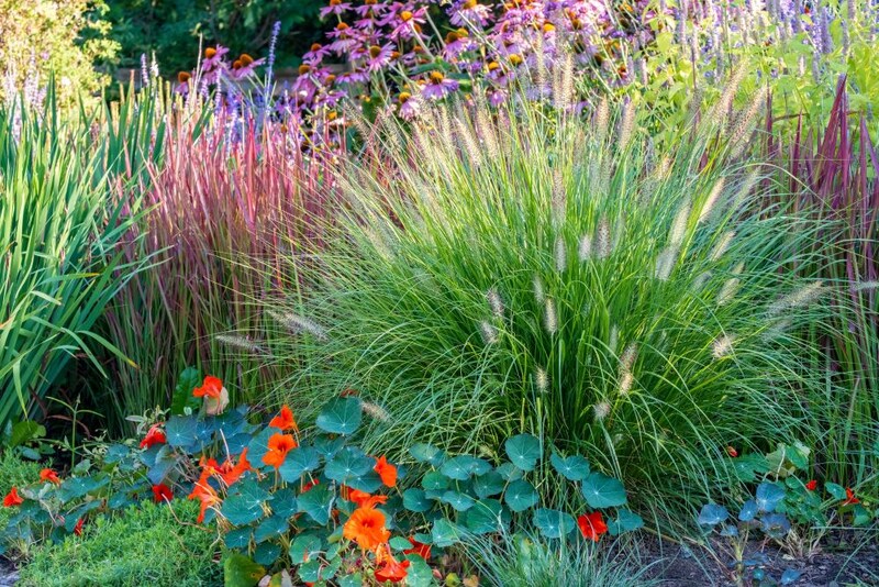 オーナメンタルグラス