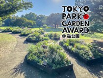都立公園を新たな花の魅力で彩る「第3回 東京パークガーデンアワード」都立砧公園【ファイナル審査を迎える11月の庭】