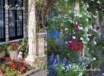 【今が買い時】晩秋から初夏まで咲きつなぐ！ キンギョソウが主役の庭計画