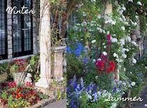 【今が買い時】晩秋から初夏まで咲きつなぐ！ キンギョソウが主役の庭計画