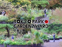 グランプリ決定！「第3回東京パークガーデンアワード砧公園」の『ファイナル審査』を迎えた11月の庭と審査の様子をご紹介
