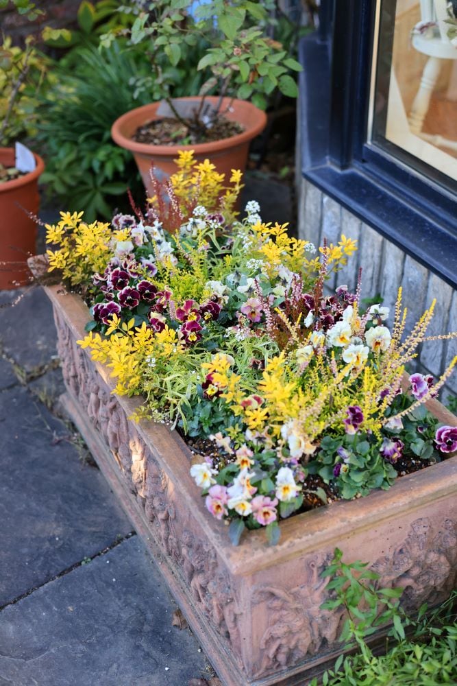 アプローチを彩る「運の花道」ロングプランター