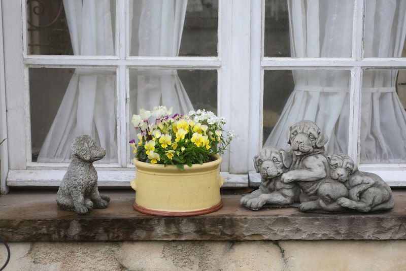 金運アップの寄せ植え