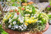 玄関に置くだけで気分も運気もアップ！ 黄色が主役の「金運カラー寄せ植え」レシピ5選