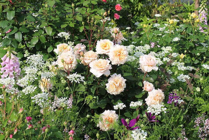 ベン・ウェザースタッフ