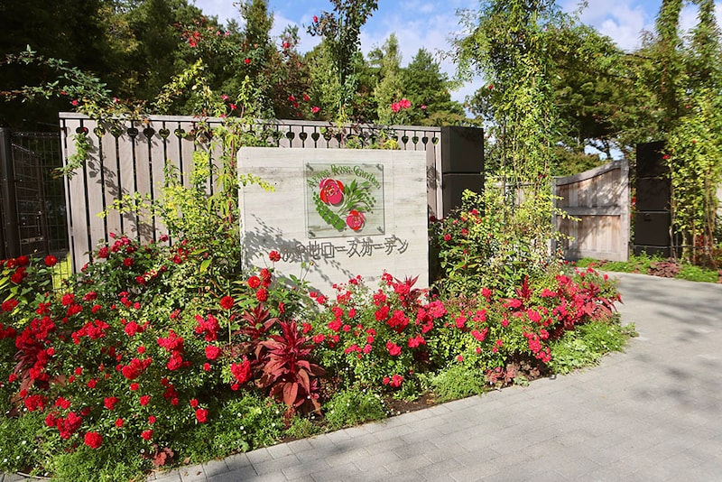 あやせローズガーデン