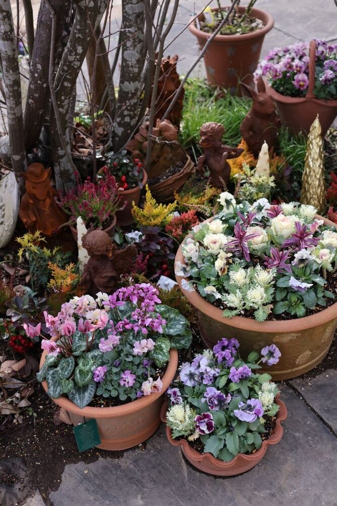 クリスマスの鉢植えガーデン