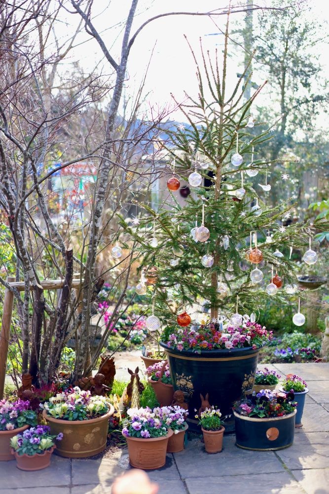 鉢植えクリスマスガーデン