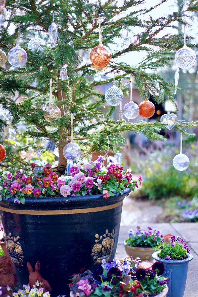 鉢植えクリスマスガーデン