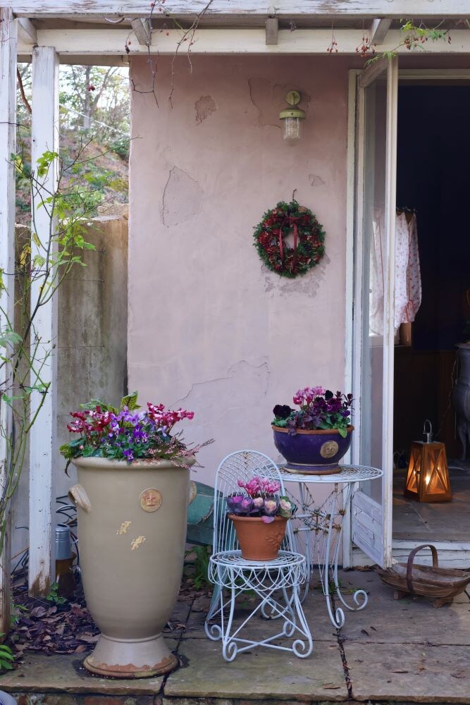 クリスマスガーデン