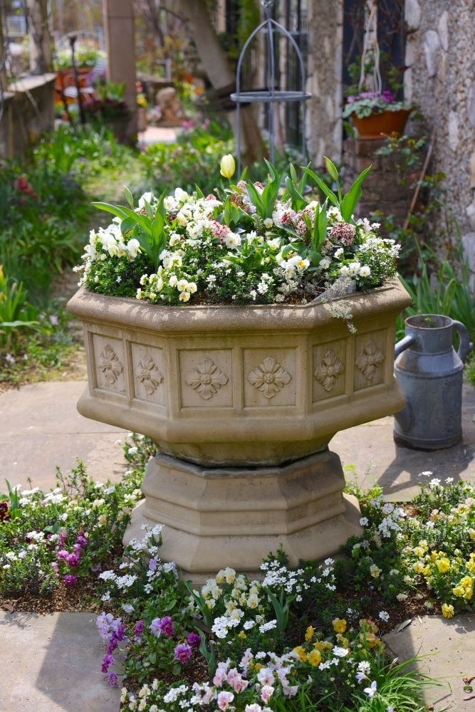 春の寄せ植えの様子