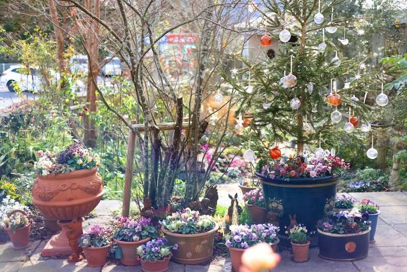 ベランダでも玄関先でもOK! 鉢植えだけで作る大人かわいいクリスマスガーデン実例5選