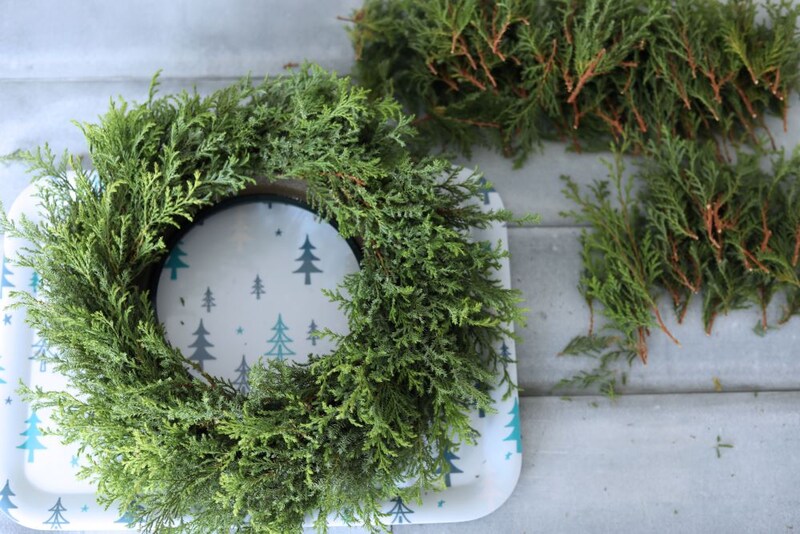 ヒムロスギをオアシスリングに挿す