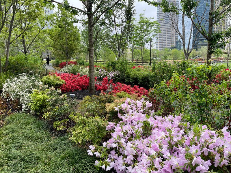 サウスパークのランドフォーム上の植栽。高木低木さまざまな植物の間を緩やかに登っていく地形になっている。植物との距離が近いため、樹名札の二次元コードも読み込みやすい。