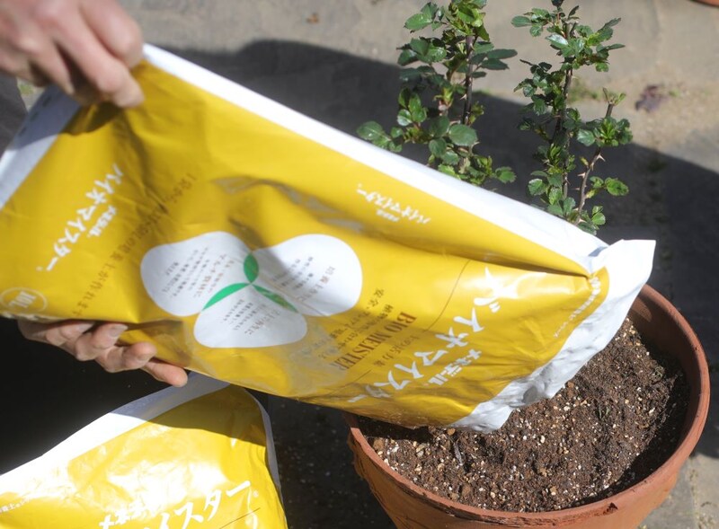 バイオマイスターでマルチ