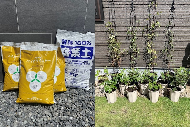 バイオマイスターをマルチング