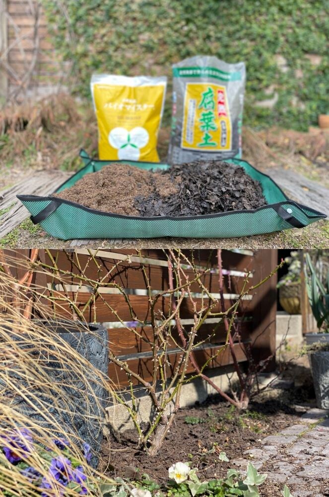 腐葉土とバイオマイスター