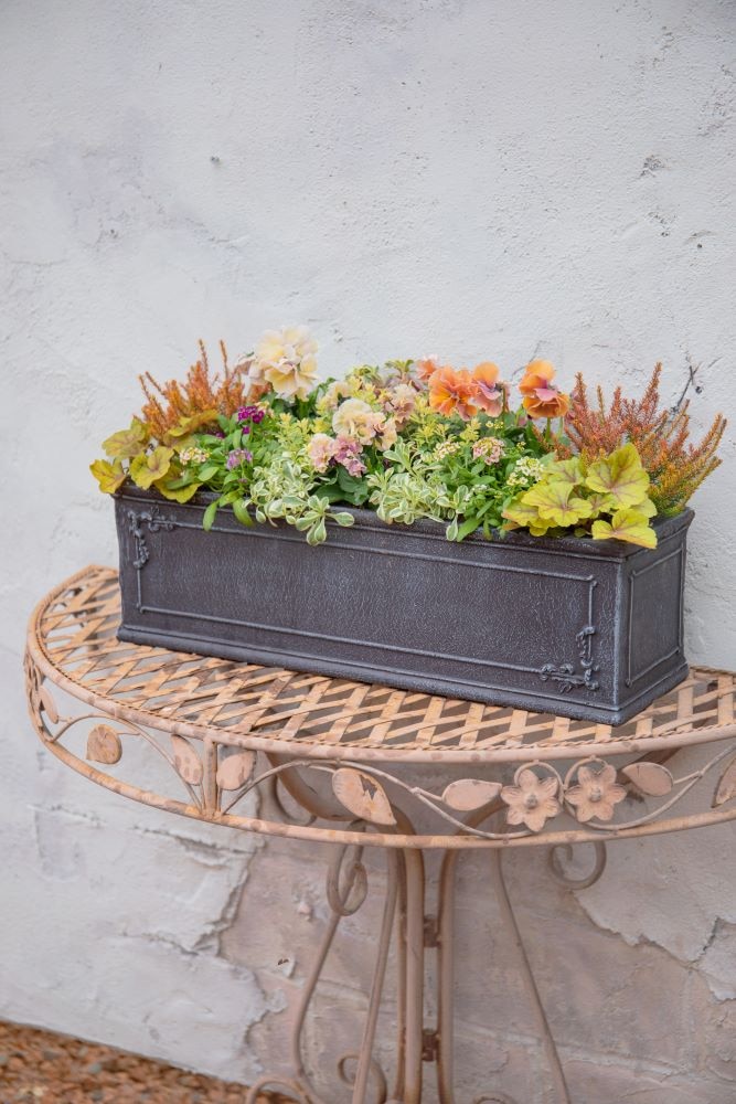 長方形プランターの寄せ植え