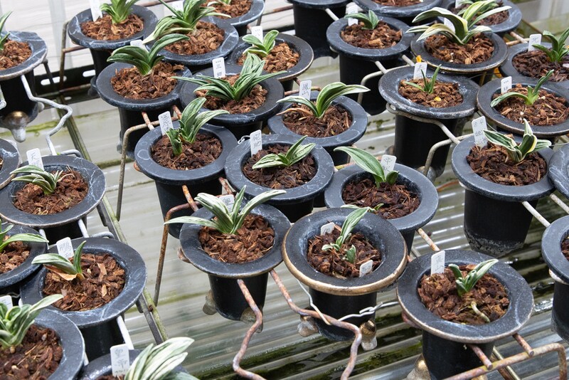 近藤さんのお棚