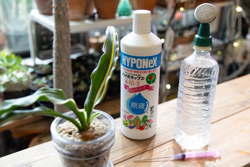 おもととハイポネックス