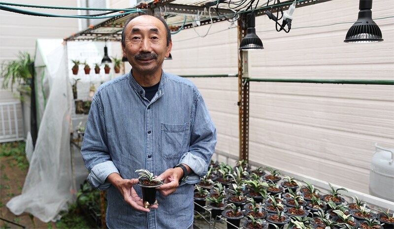 日本おもと協会近藤さん