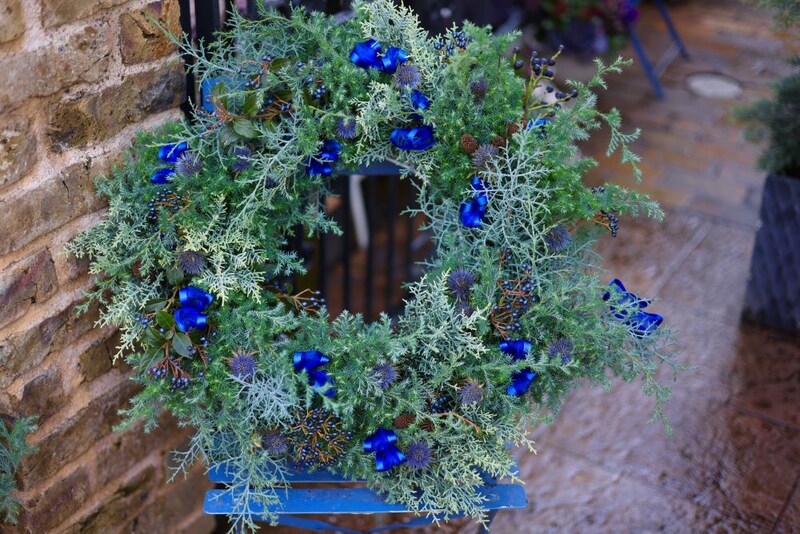 針葉樹の“根つきリース”