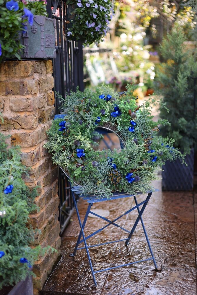 根付きの針葉樹の苗を寄せ植えたリース