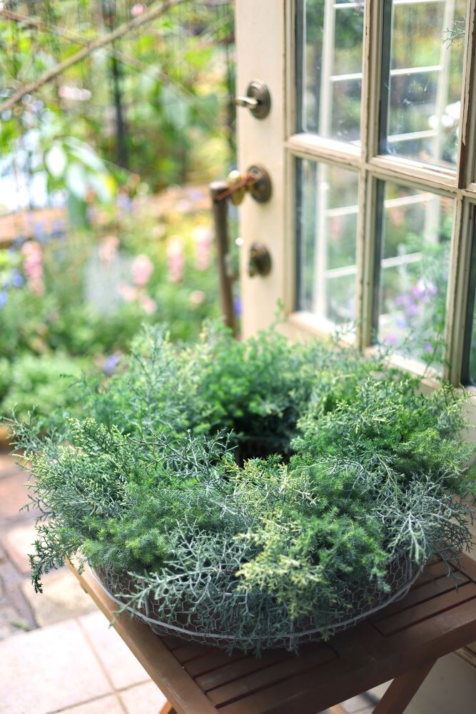 根つきのクリスマスリーズ