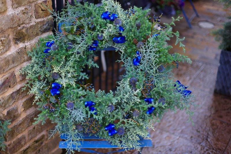 針葉樹の“根つきリース”