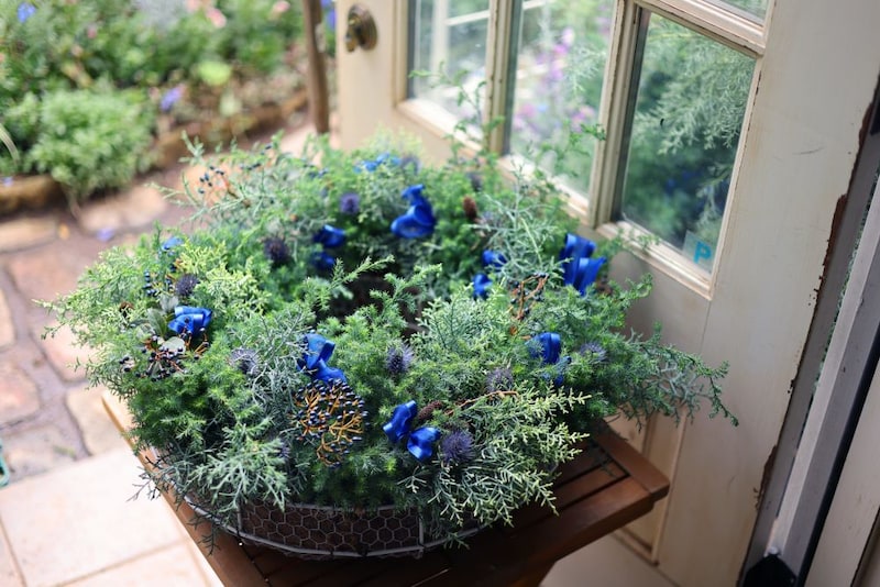 根つきクリスマスリース