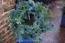 冬じゅう恋する玄関。クリスマス以降も瑞々しさ続く針葉樹の“根つきリース”の作り方