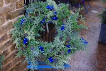 冬じゅう恋する玄関。クリスマス以降も瑞々しさ続く針葉樹の“根つきリース”の作り方